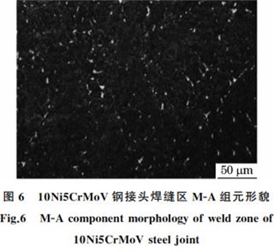 圖６ １０Ni５CrMoV鋼接頭焊縫區 MＧA組元形貌
