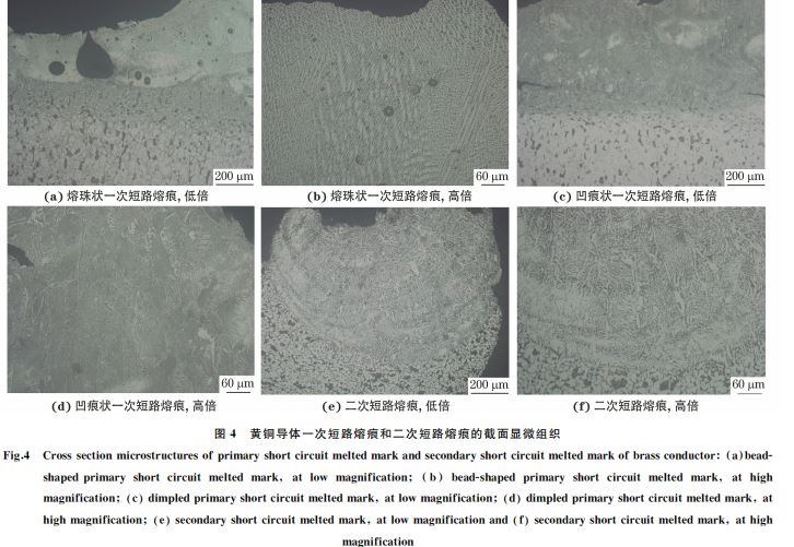 圖4 黃銅導體一次短路熔痕和二次短路熔痕的截面顯微組織 圖4 黃銅導體一次短路熔痕和二次短路熔痕的截面顯微組織