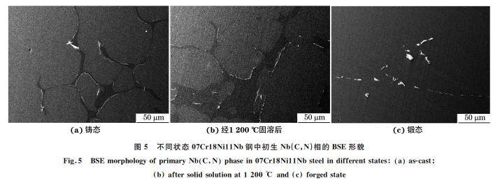 圖5 不同狀態07Cr18Ni11Nb鋼中初生 Nb(C,N)相的 BSE形貌 圖5 不同狀態07Cr18Ni11Nb鋼中初生 Nb(C,N)相的 BSE形貌
